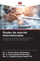 Études de marché internationales: Une approche professionnelle de la collecte de données et des enquêtes internationales 6206021106 Book Cover