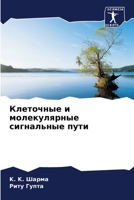 &#1050;&#1083;&#1077;&#1090;&#1086;&#1095;&#1085;&#1099;&#1077; &#1080; &#1084;&#1086;&#1083;&#1077;&#1082;&#1091;&#1083;&#1103;&#1088;&#1085;&#1099;& 6205200163 Book Cover