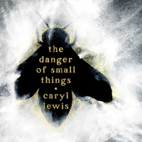 The Danger of Small Things 1668157713 Book Cover