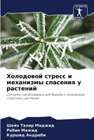 ????????? ?????? ? ????????? ???????? ? ????????: ???????, ??????????? ??? ?????? ? ????????? ???????? ? ???????? (Russian Edition) 6204465368 Book Cover