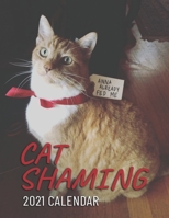 Shaming Cat: 2021 Wall Calendar - Mini Calendar, 8.5"x11", 12 Months B08PR47FD8 Book Cover
