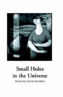 Small Holes in the Universe 0971737126 Book Cover