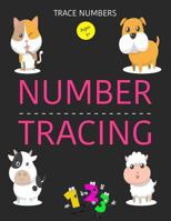 Trace Numbers: Number Tracing Book, Learning Number 0 to 20, Handwriting Practice Book For Kids Age 3-5 Year 1986734862 Book Cover
