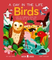 Birds (A Day in the Life): What Do Flamingos, Owls, and Penguins Get Up To All Day? 1684492858 Book Cover