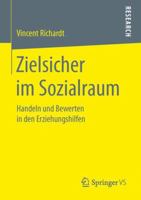 Zielsicher Im Sozialraum: Handeln Und Bewerten in Den Erziehungshilfen 3658150416 Book Cover