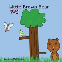 Big Brown Bear 0645447404 Book Cover