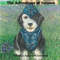 The Adventures of Samson 1717184561 Book Cover