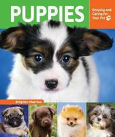 Puppies 0766041875 Book Cover