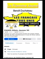 La Flamme Jaune (French Edition) B0FKJJZB68 Book Cover