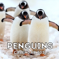 Penguins: 2021 Calendar Book, Cute Gift Idea For Penguin Lovers Men And Women B08TQDLYJF Book Cover