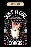 Notebook: Corgi dog lover fluently Notebook-6x9(100 pages)Blank Lined Paperback Journal For Student, corgi pups, corgi butt gift, corgi gifts for kids, women, girls, boys, men, corgi birthday gift, 1672287057 Book Cover