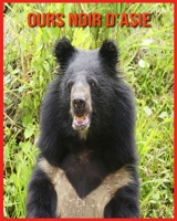 Ours Noir d’Asie: Livre pour Enfants Images & Informations Etonnantes Concernant les Ours Noir d’Asie B08WK2L9X3 Book Cover