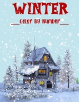 Winter Color By Number Adult Coloring Book B0BL9TW7RC Book Cover