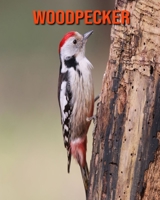 Woodpecker: Fun Learning Facts About Woodpecker B08MMWV3SF Book Cover