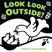 Look Look Outside 0803737297 Book Cover