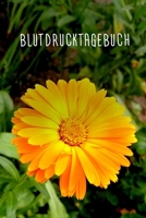 Blutdrucktagebuch: Zum täglichen Erfassen des Blutdrucks | Format 6 x 9 Zoll | Softcover matt | Blutdruck im Überblick | Zeilen für 1534 Eintragungen (German Edition) 1687117632 Book Cover