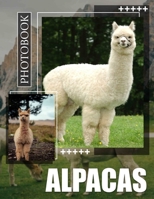 Alpacas Photo Book: 40 Adorable Images Of Cute Alpacas For Animal Lovers And Enthusiasts B0DPXJNW5F Book Cover