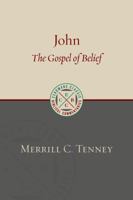 John: the Gospel of Belief. An analytic study of the text 0802875866 Book Cover