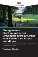Changements biochimiques chez Cyamopsis tetragonoloba sous l'effet d'un stress métallique 6209089739 Book Cover