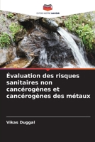 Évaluation des risques sanitaires non cancérogènes et cancérogènes des métaux 6205800810 Book Cover