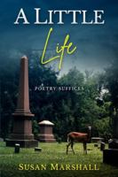 A Little Life: Poetry Suffices 1646493818 Book Cover