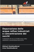 Depurazione delle acque reflue industriali e concentrazione dei succhi (Italian Edition) 6630134400 Book Cover