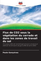 Flux de CO2 sous la végétation du cerrado et dans les zones de travail du sol: Principaux défis de l'activité agricole pour produire et atténuer les ... gaz à effet de serre (GES) 6205995700 Book Cover