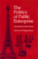 The Politics of Public Enterprise: Oil and the French State 0691076774 Book Cover