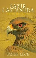 Saisir Castaneda: Comprendre Carlos Castaneda 0999262769 Book Cover