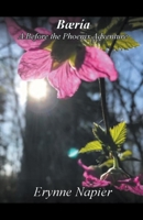 B�r�a 1393215645 Book Cover