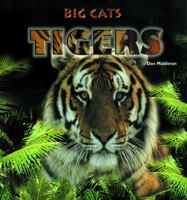 Tigers (Big Cats) 0823952134 Book Cover