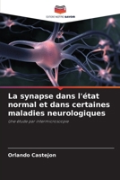 La synapse dans l'état normal et dans certaines maladies neurologiques 6206880826 Book Cover