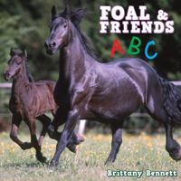 Foal and Friends ABC 1939294541 Book Cover
