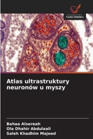 Atlas ultrastruktury neuronów u myszy (Polish Edition) 6630311574 Book Cover
