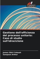 Gestione dell'efficienza del processo unitario: Caso di studio sull'idrociclone (Italian Edition) 6208201721 Book Cover