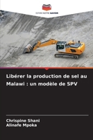 Libérer la production de sel au Malawi: un modèle de SPV (French Edition) 6209962661 Book Cover