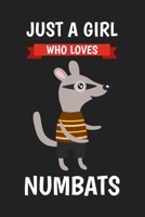 Just A Girl Who Loves Numbats: Blank Lined Notebook Journal, Cute Lined Journal for Women, Girls and Kids - Gift for Numbat Lovers 1675370559 Book Cover