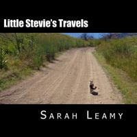 Little Stevie's Travels: The Camping Cat 1541237048 Book Cover