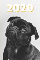 2020 Hunde Kalender: S��er Mops Wochenplaner mit Monats- und Jahresansicht - 100 Seiten - Januar bis Dezember Terminplaner 1706195605 Book Cover