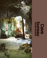 Cave Bureau: The Architect's Studio 3037787317 Book Cover