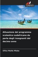 Attuazione del programma scolastico sudafricano da parte degli insegnanti del decimo anno (Italian Edition) 6209618499 Book Cover