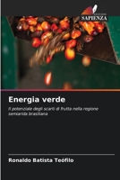 Energia verde (Italian Edition) 6207958543 Book Cover