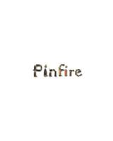 The Pinfire Page: Volumes 1 - 5; Excerpts from the International Ammunition Association Journal 138872801X Book Cover