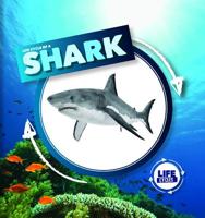 Life Cycle of a Shark 1534526390 Book Cover