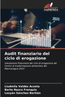 Audit finanziario del ciclo di erogazione (Italian Edition) 6207887611 Book Cover