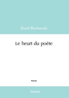 Le heurt du poète (French Edition) B0CKRPQLM6 Book Cover