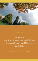 CORONA Was kann ich tun, um mich für den kommenden Herbst/Winter zu wappnen?: Stand: 6. November 2020 3752643714 Book Cover