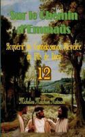 Sur Le Chemin d'Emma�s: Acqu�rir La Connaissance R�v�l�e Du Fils de Dieu 1530849918 Book Cover