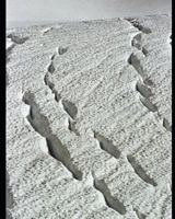 My Memoir: Memoir prompts - what to write 1720078386 Book Cover