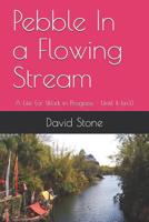 Pebble In a Flowing Stream: A Life (or Work in Progress - Until It Isn't) 1099918421 Book Cover